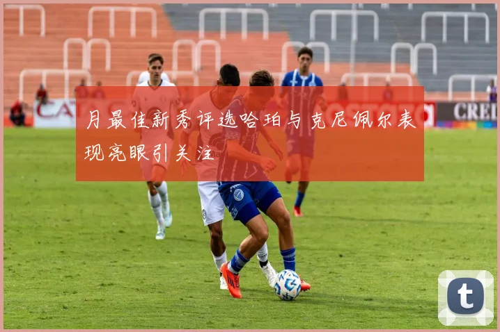 月最佳新秀评选哈珀与克尼佩尔表现亮眼引关注